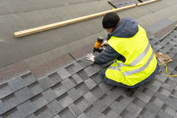 Best Roof Gutter Cleaning  in Moundsville, WV