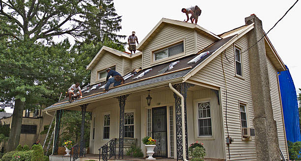 Best Storm Damage Roof Repair  in Moundsville, WV